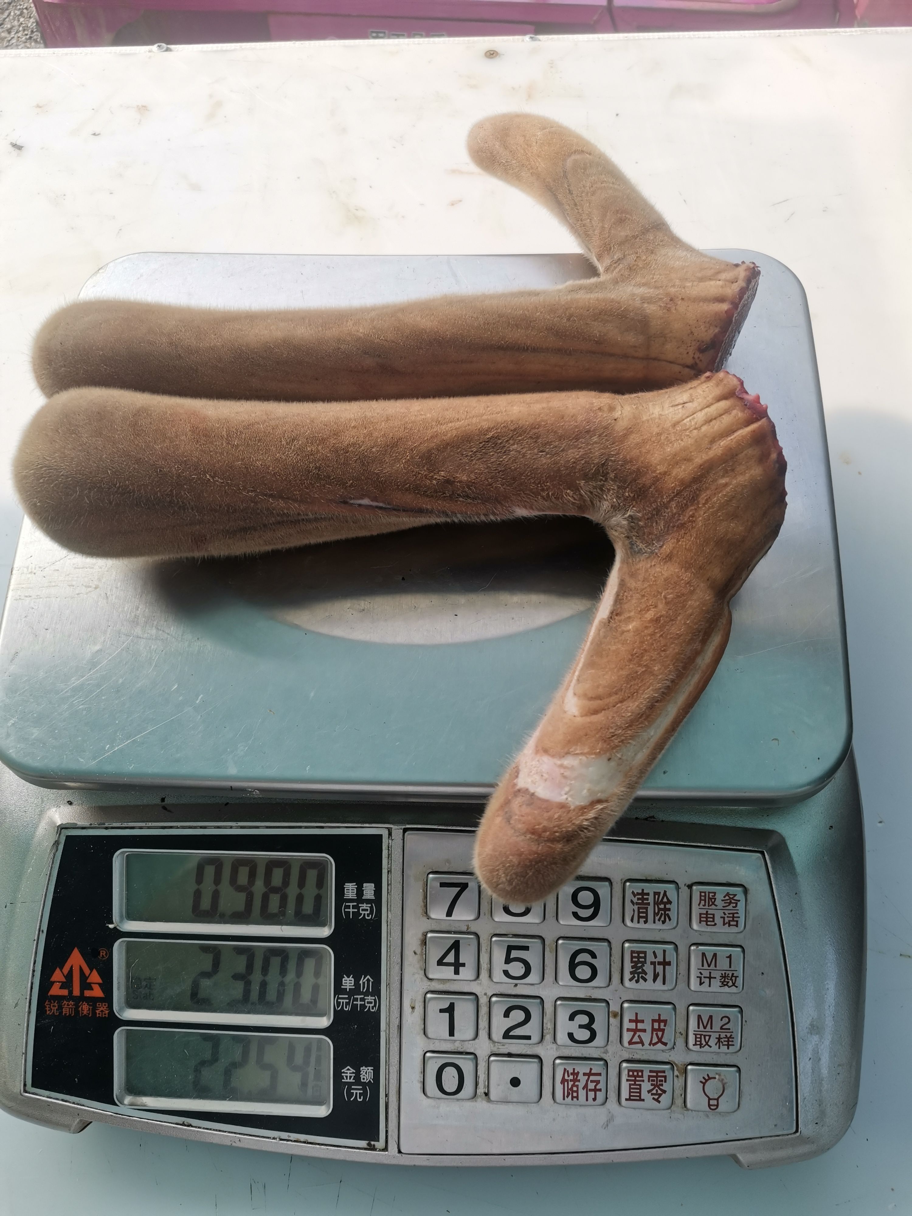 鹿茸（鹿乡镇梅花鹿鹿茸）