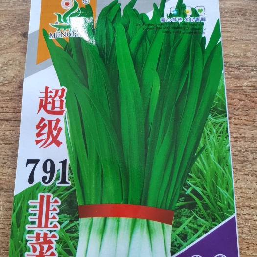 南宁韭菜种籽，高产，长势旺盛，采收期长，味道香，无虫害，