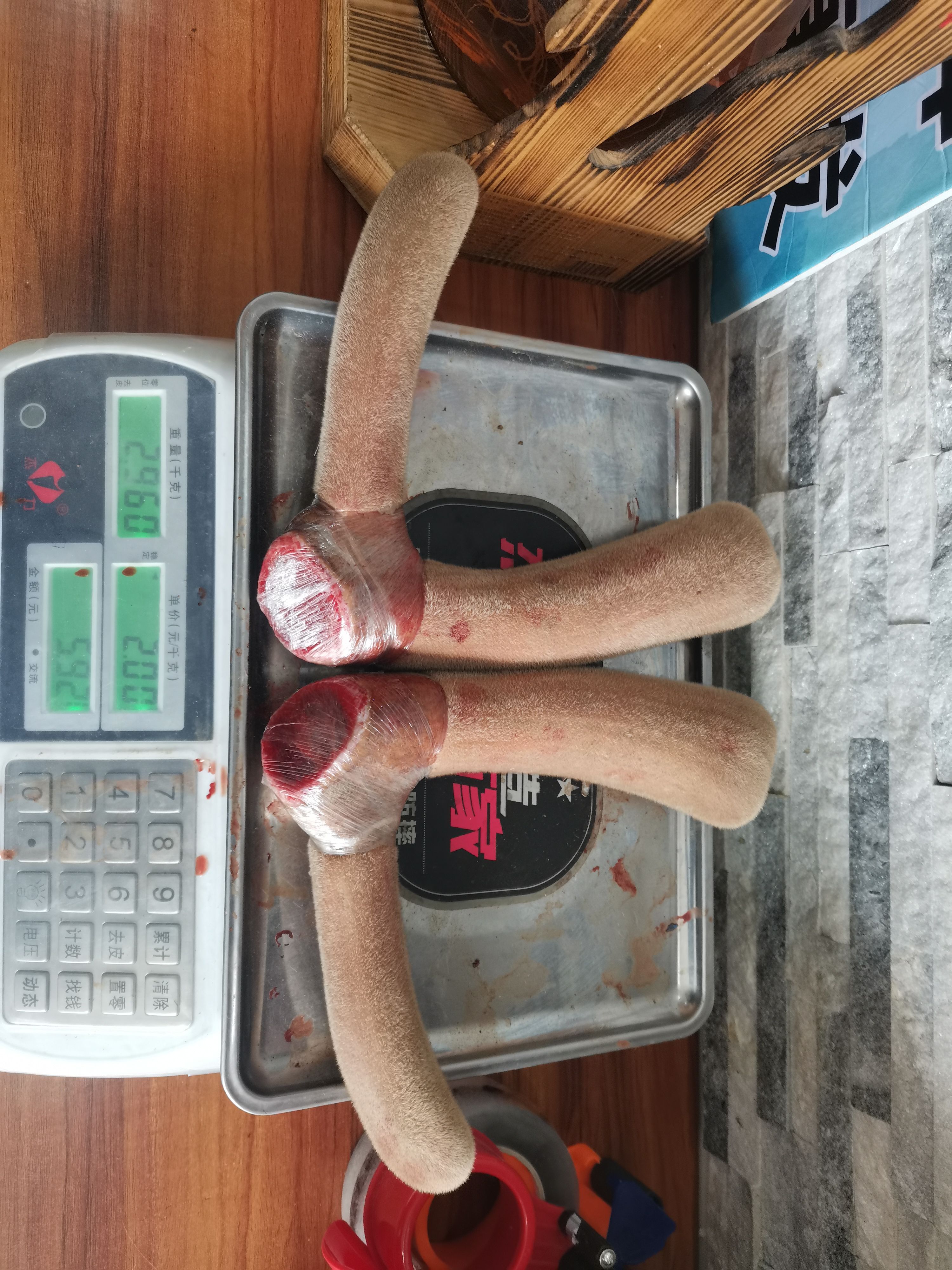 鹿茸（鹿乡镇梅花鹿鹿茸）