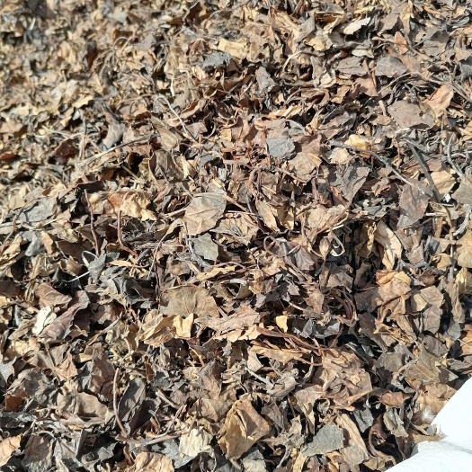鹿含草鹿衔草各种规格中药材批发零售