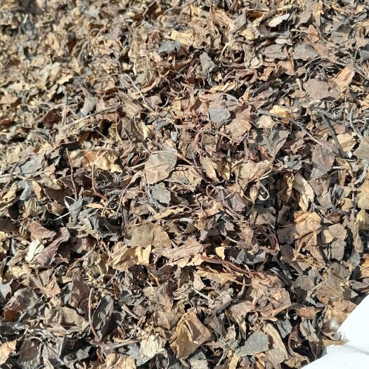 安国市鹿含草鹿衔草各种规格中药材批发零售