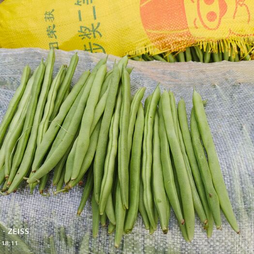 保山四季豆，都掉价了