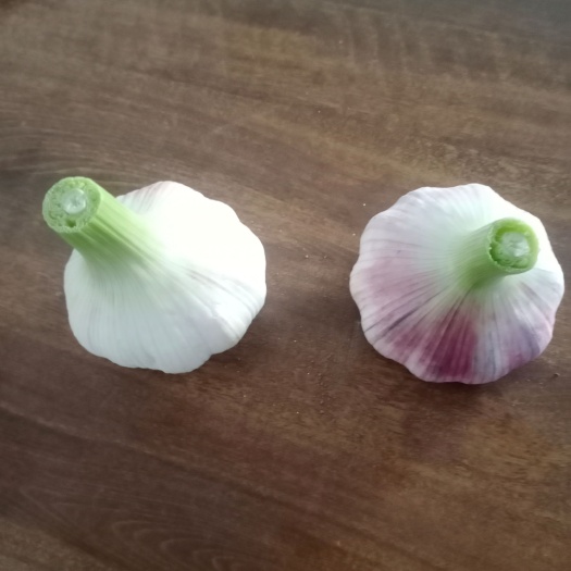 紫红皮大蒜头