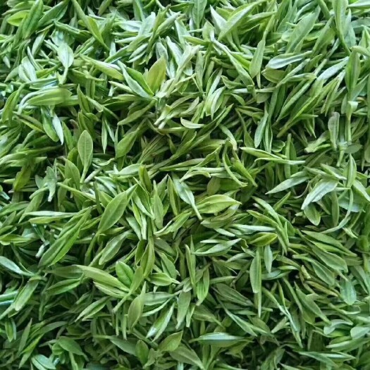 东至县红茶