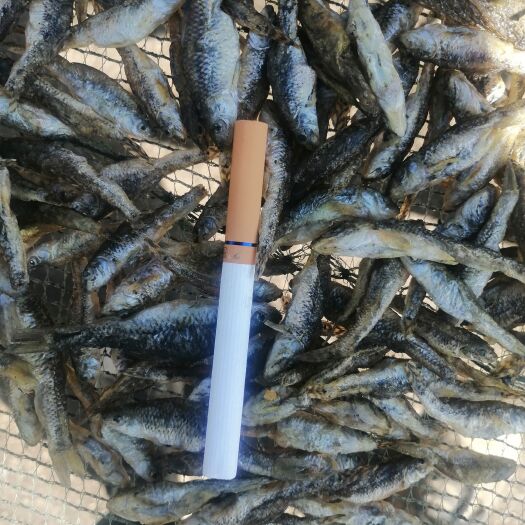 柳河县油炸麦穗鱼干
