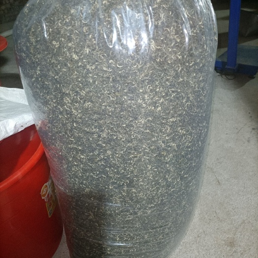 桂东县2025年夏茶（口粮茶）