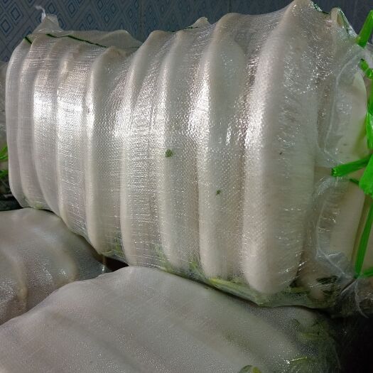 沙洋县湖北白萝卜，规格3，4，5排，货源充足，几个优惠，欢迎来撩