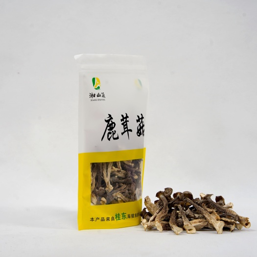 桂东县桂东鹿茸菇