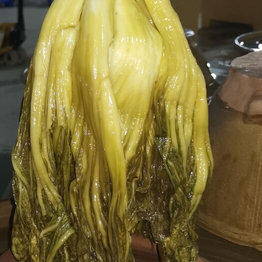 珠海乳酸菌自然发酵酸菜