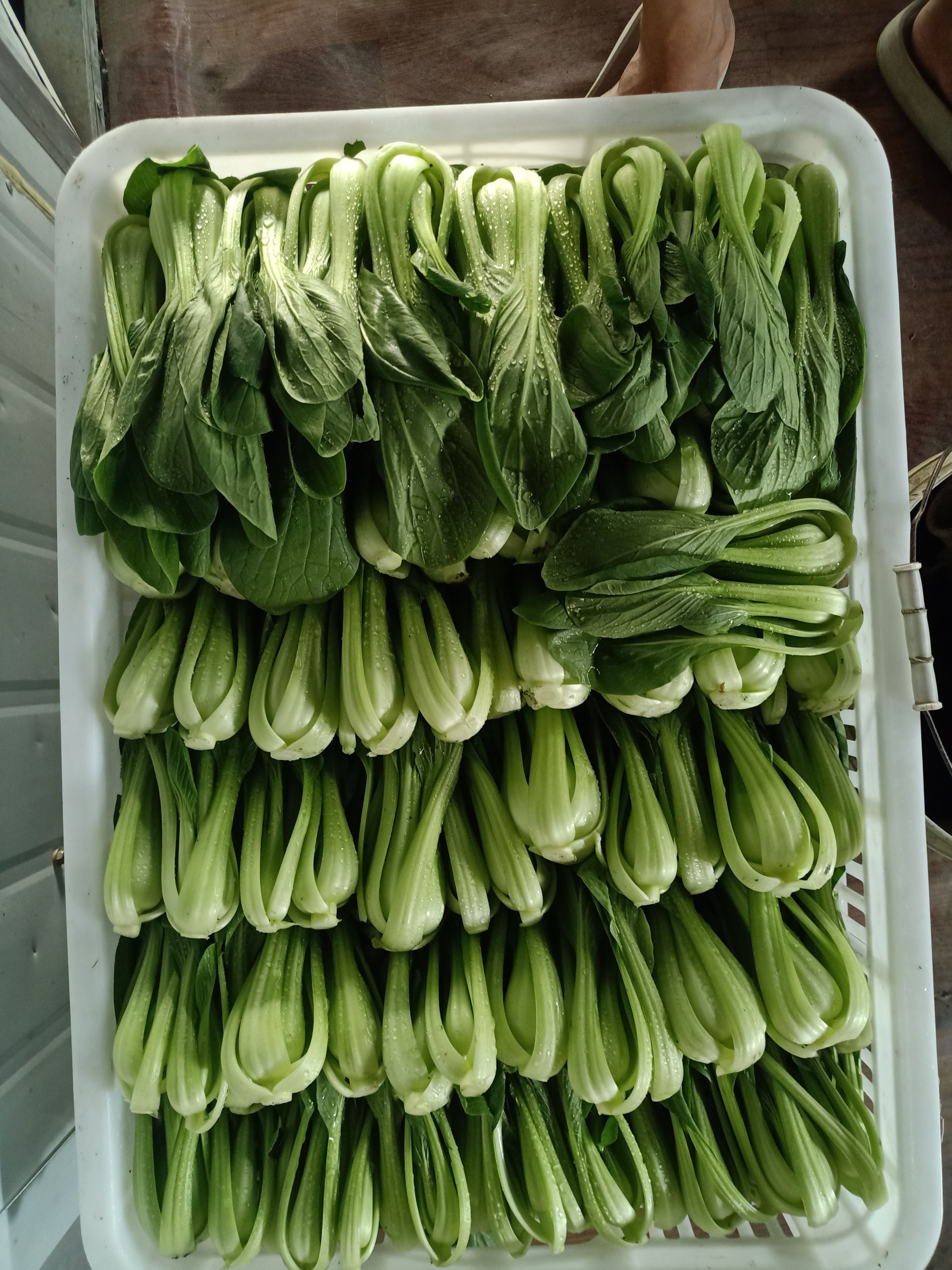 小白菜，飘儿白，芥菜