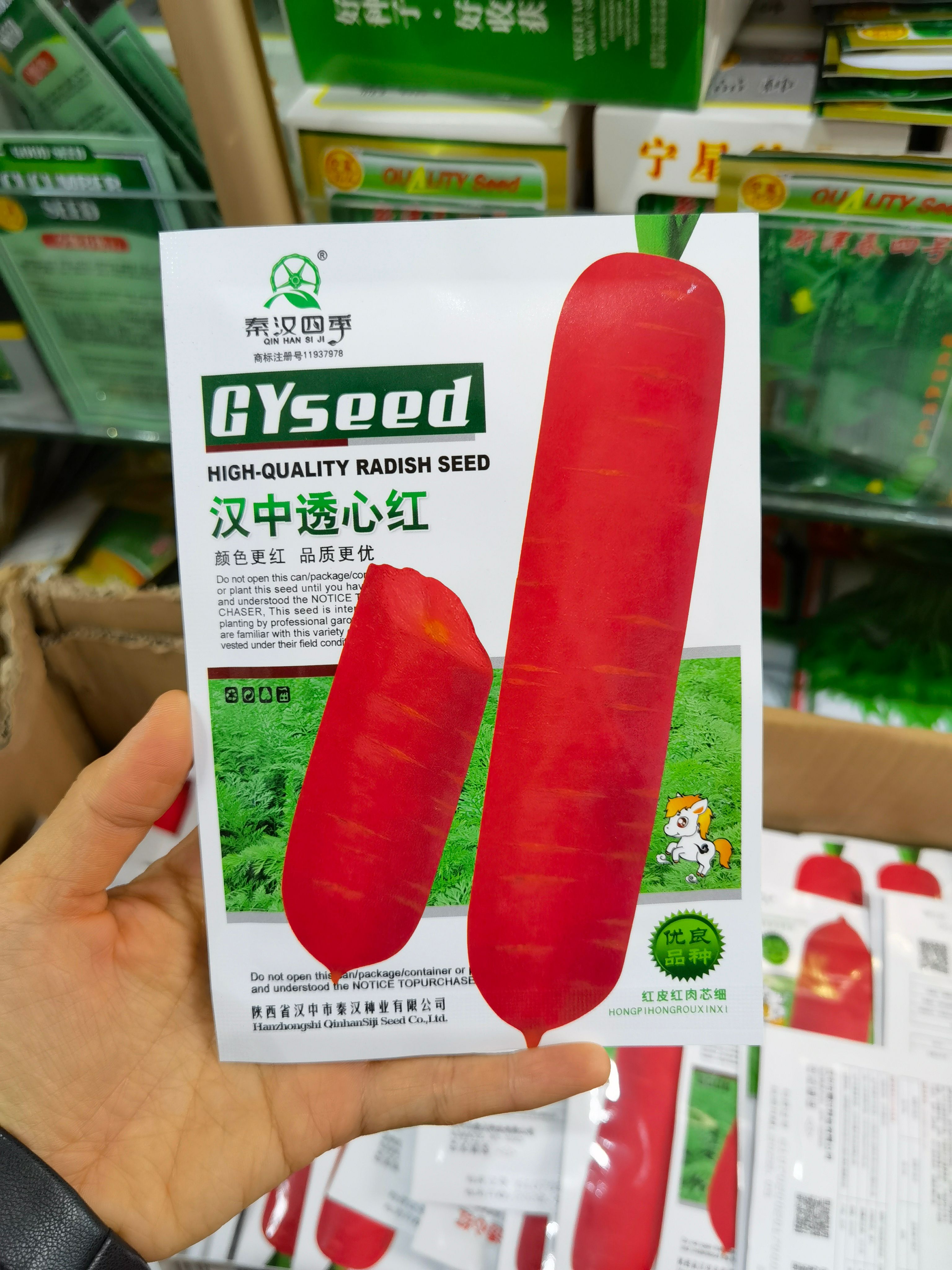 西安汉中透心红胡萝卜种子 盆栽庭院秋季种植