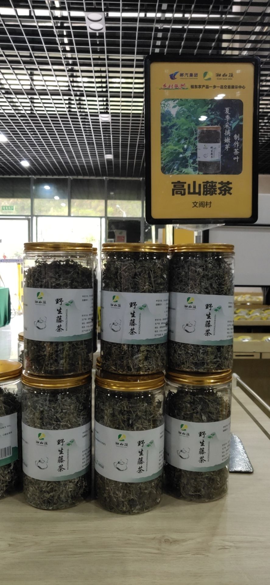 桂东藤茶