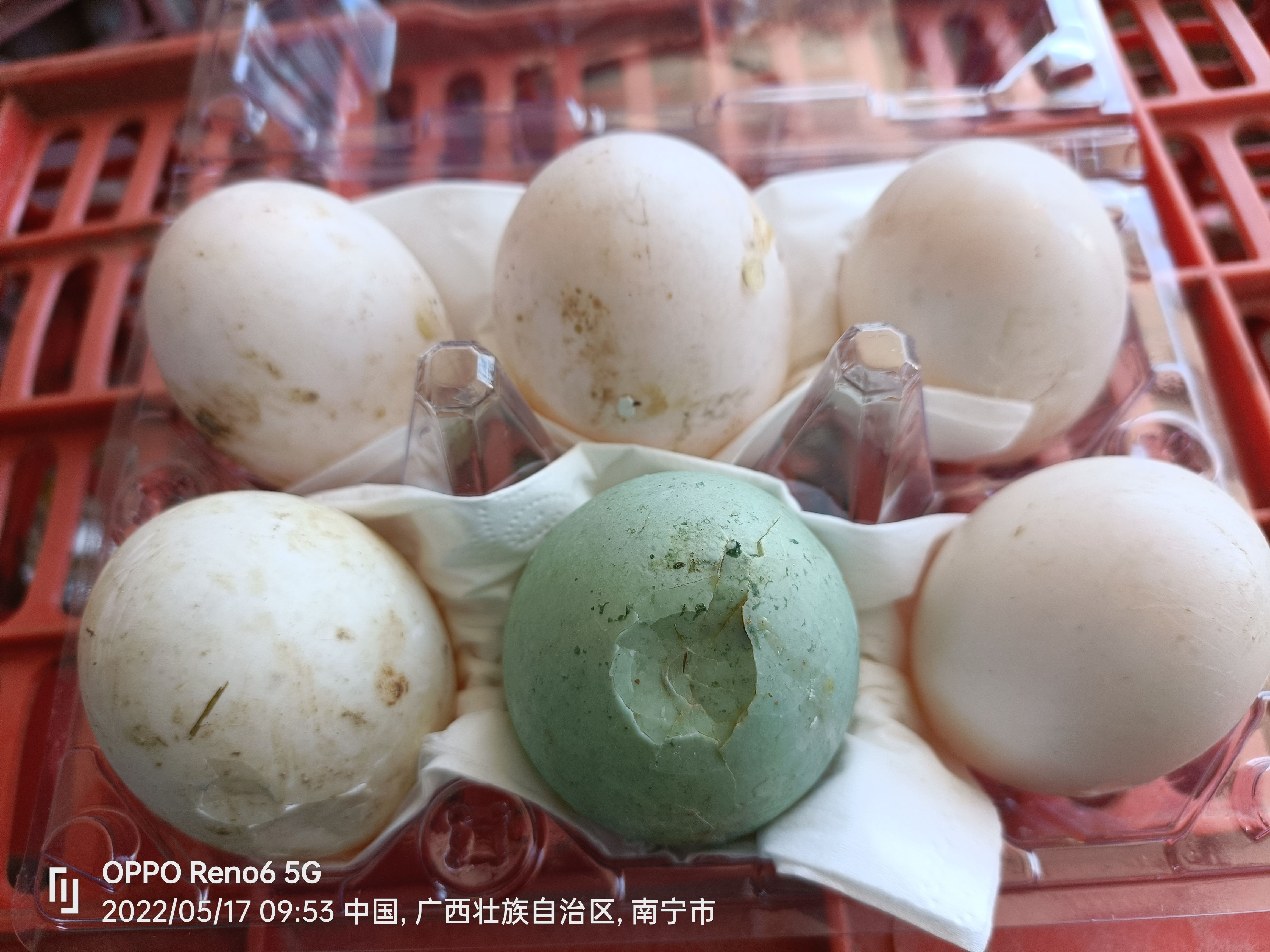 鲜鸭蛋凹壳蛋