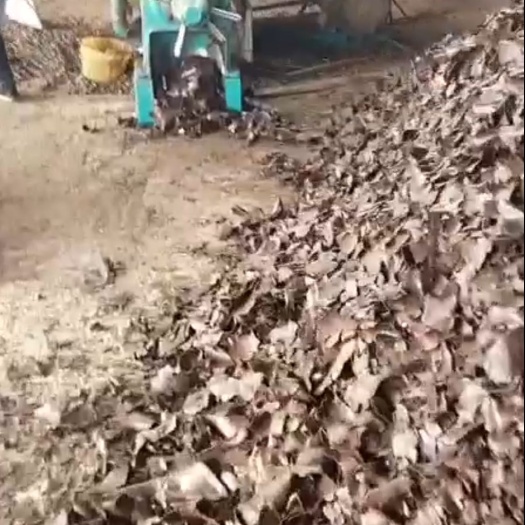 田东县茶麸、茶麸饼