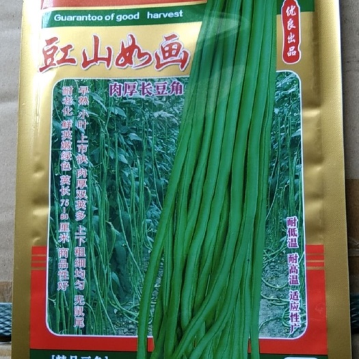 豆角种子