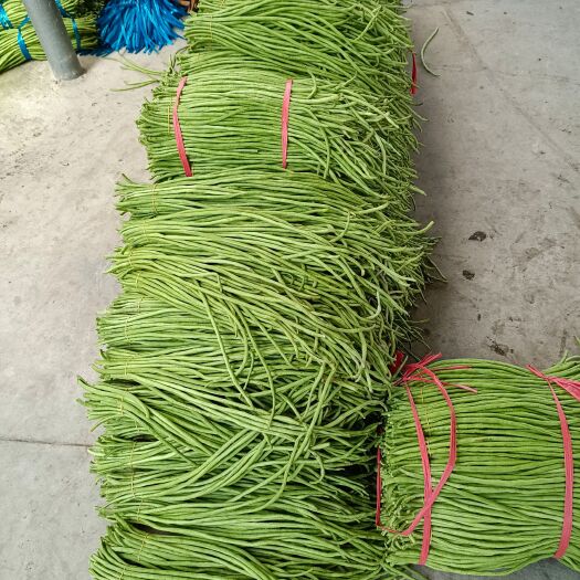 合浦县好长豆角