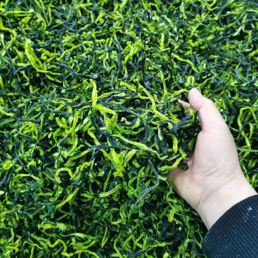 脱水黄瓜干 6-12个月
