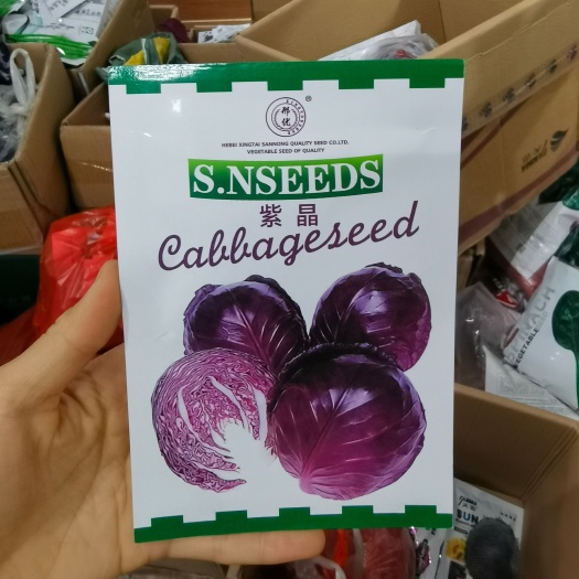 西安紫甘蓝种子 紫甘蓝中早熟品种