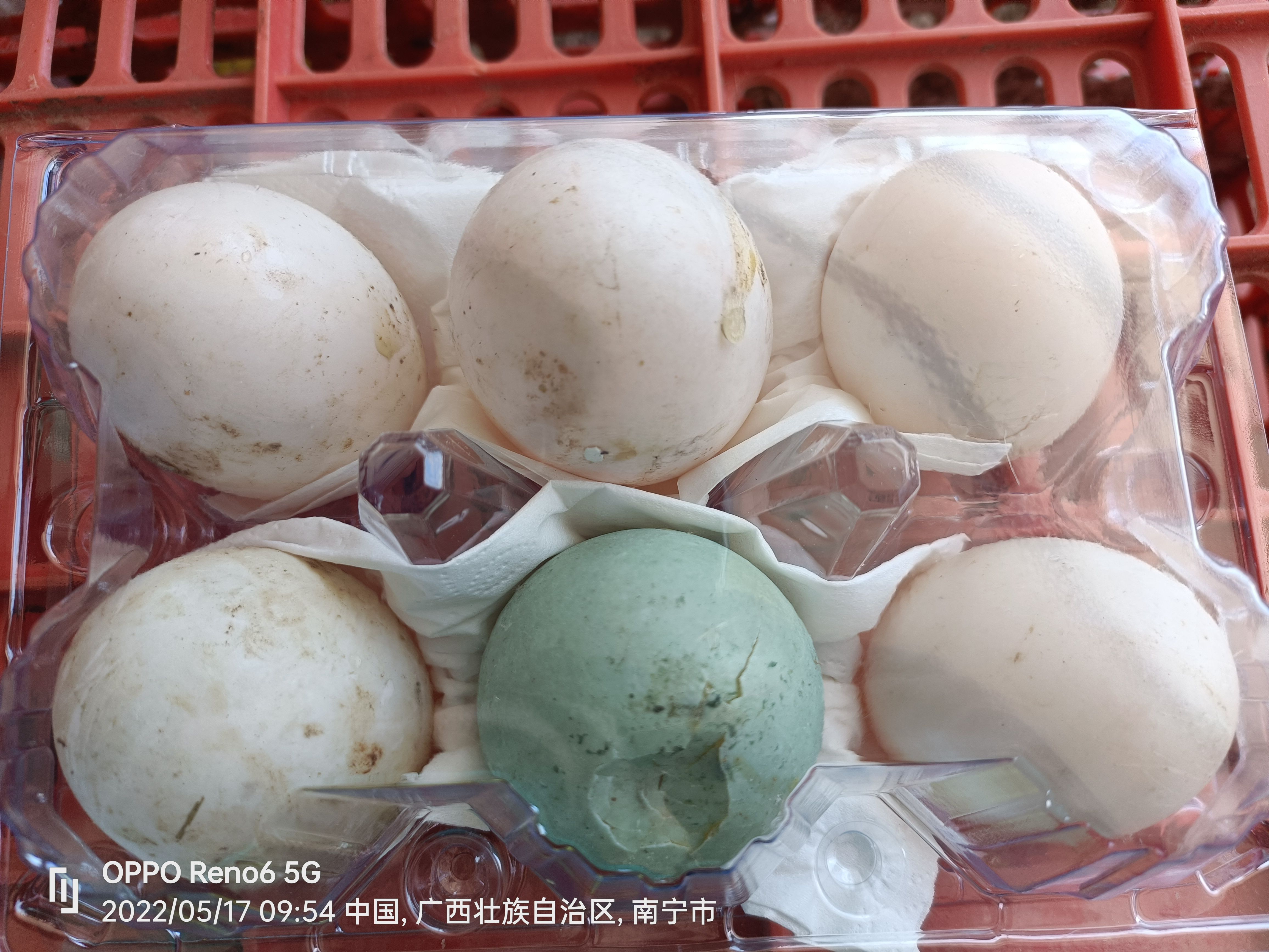 鲜鸭蛋凹壳蛋
