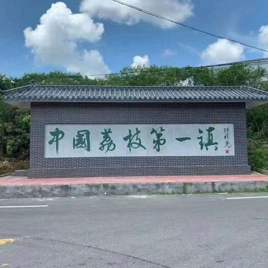 高州市【顺丰京东空运】大唐荔乡根子镇白糖罂荔枝×5斤