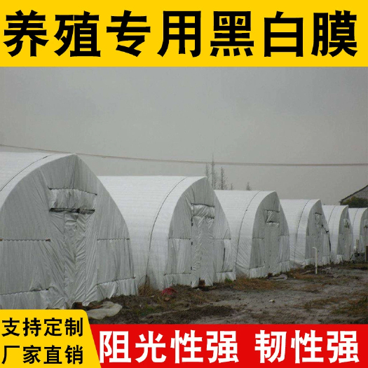 寿光市食用菌家禽养殖大棚专用黑白膜！！