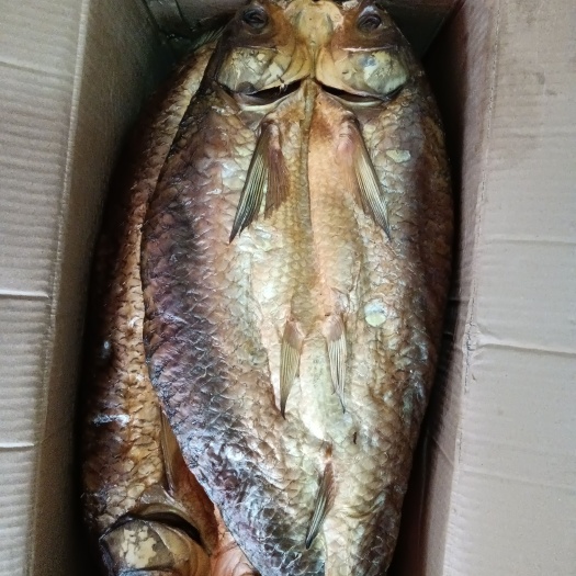 长沙整条草鱼
