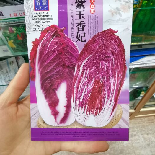 西安紫白菜种子中熟紫色白菜种子包心白菜种子四季耐寒秋播