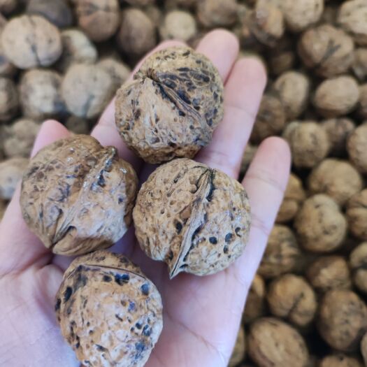 赞皇县云南核桃  麻子核桃  核桃果