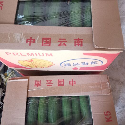 南通丝瓜上市