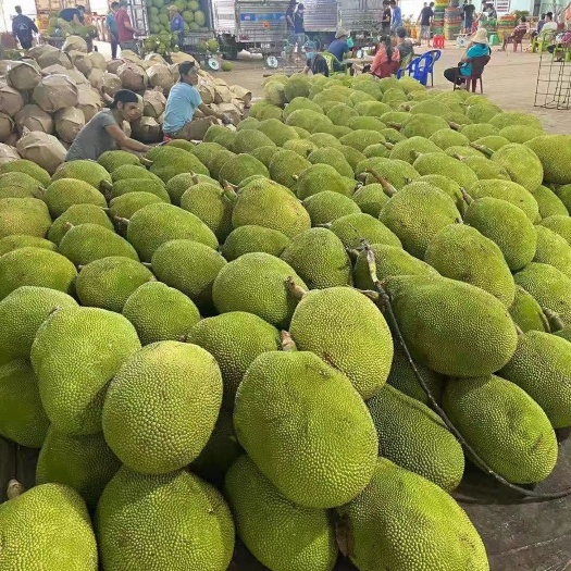 凭祥市越南菠萝蜜，一手货源，自有工厂