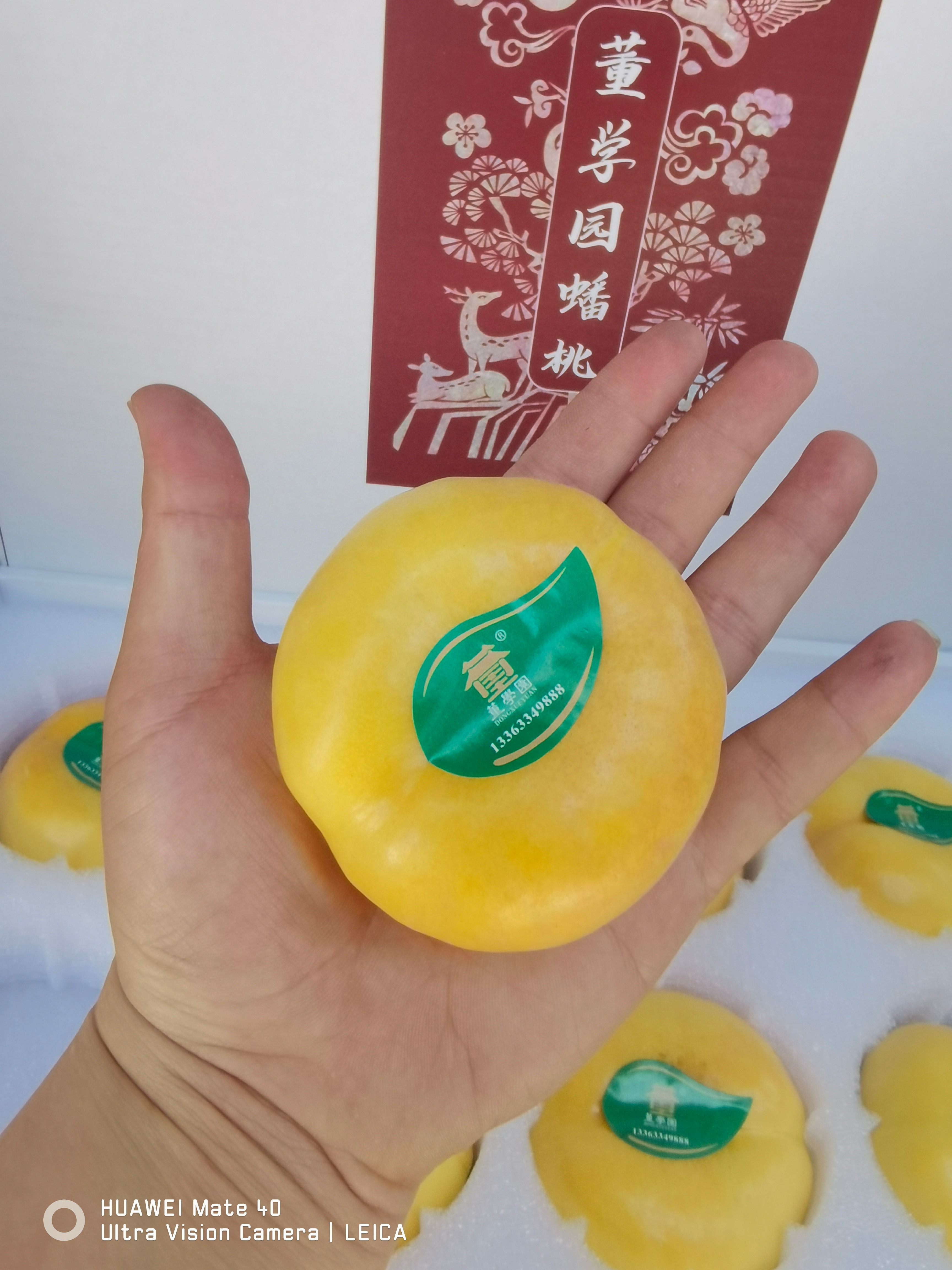精品一级黄油蟠，果面晶莹剔透口感好，馈赠上品。