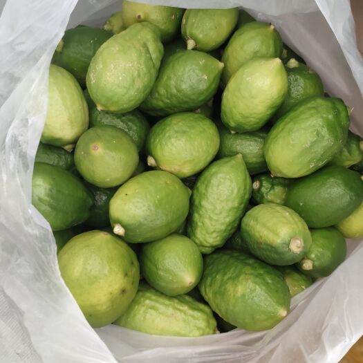 广州香水柠檬
