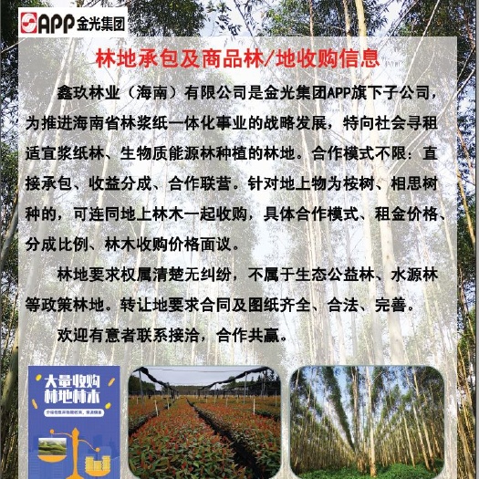 东方市求租、合作(大量收购林地林木)