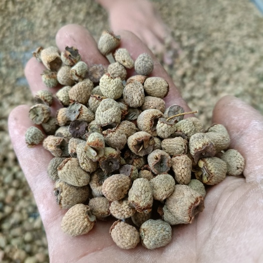 泰顺县统货