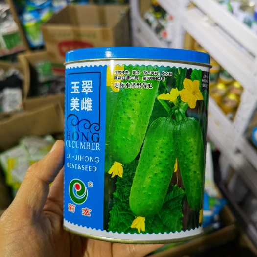 水果黄瓜种子玉翠美雌黄瓜种子