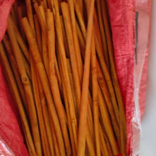容县桂皮烟仔桂