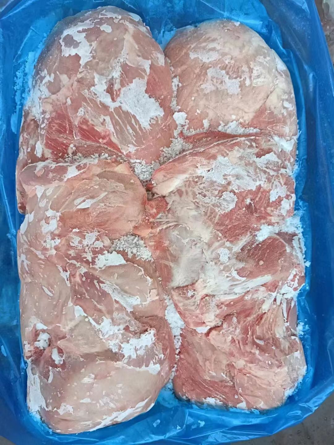 母猪纯干四号肉