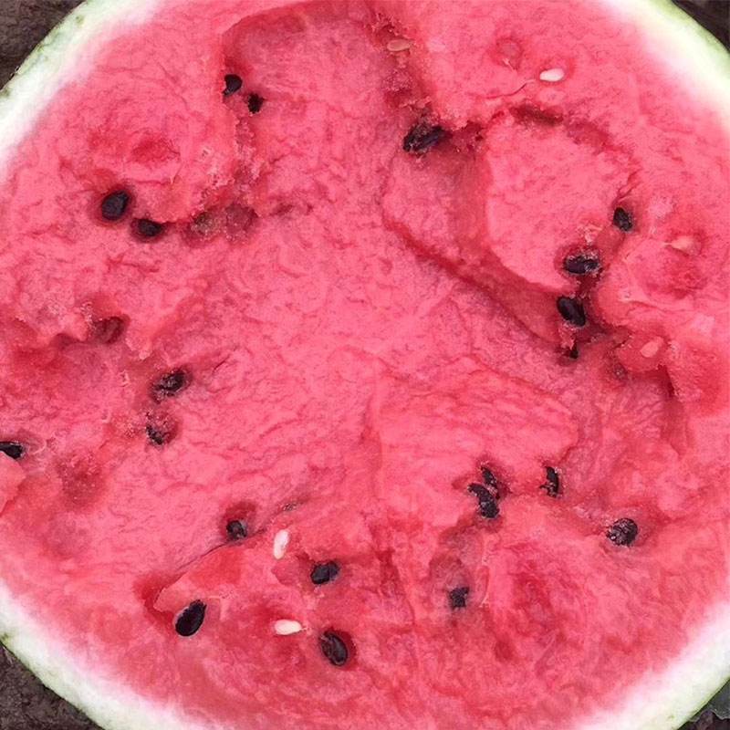 84美都大量现货，产地直供