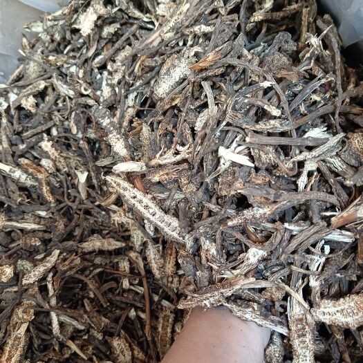 玉林家种羌活羌青护羌使者胡王使者羌滑退风使者黑药