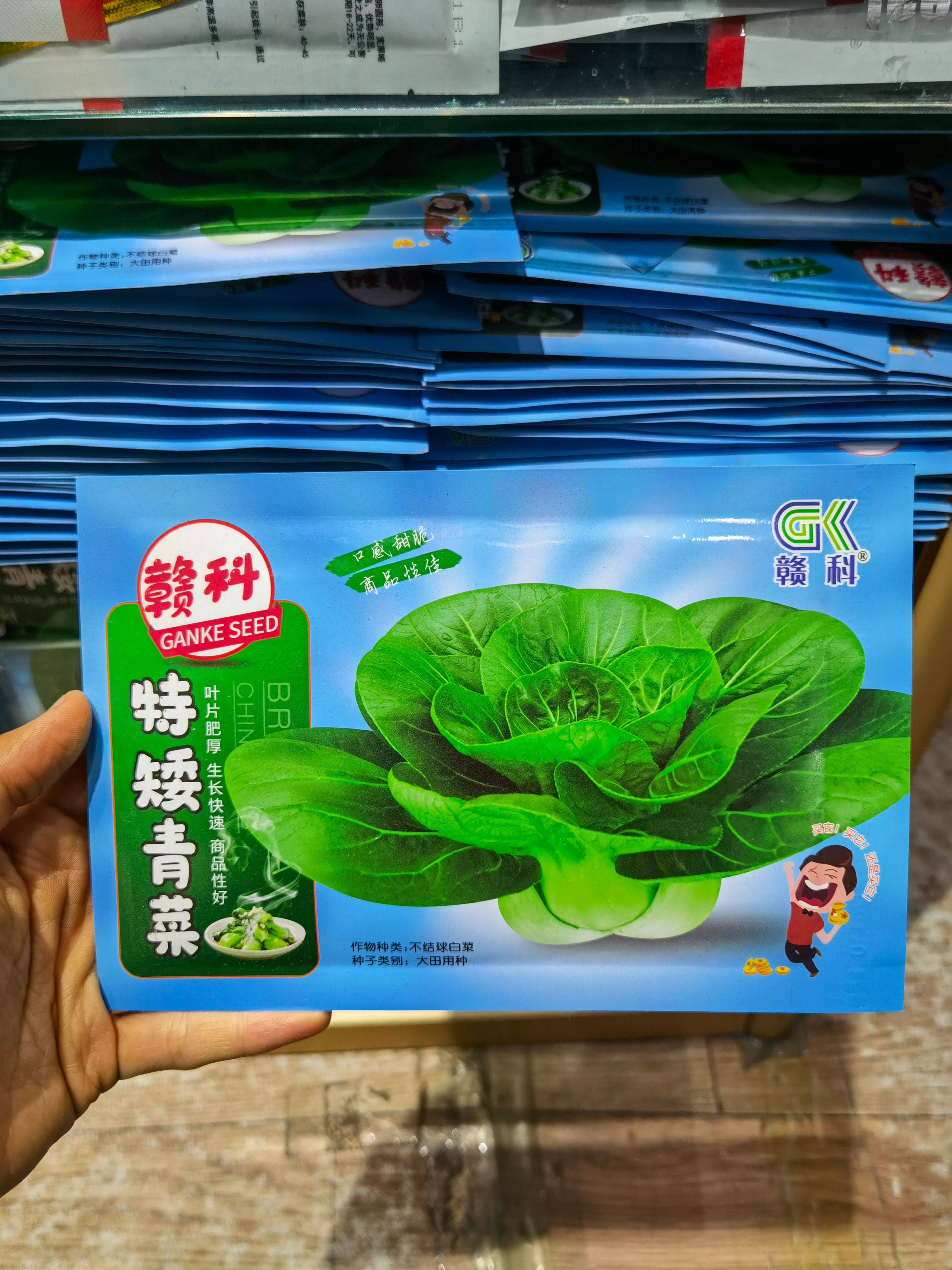 西安矮青菜种子 特矮青菜种子