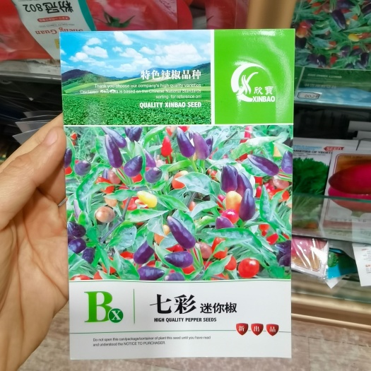 西安辣椒种子 七彩迷你椒种子