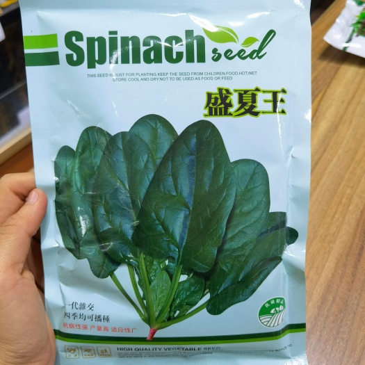 大叶菠菜种子盛夏王菠菜种子大叶肉菠菜种孑四季耐寒冬季蔬菜种籽