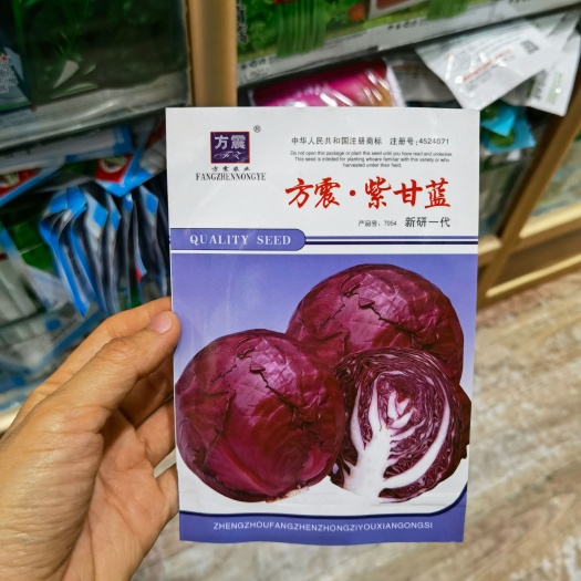 西安紫甘蓝种子