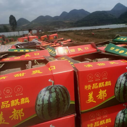 丘北县美都西瓜
