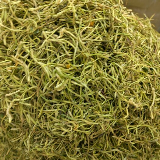 成都山银花  产地直销  质优价实