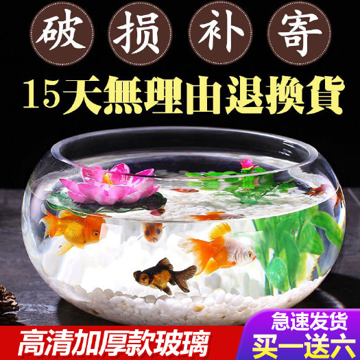 其他生活电器 透明玻璃鱼缸小型金鱼缸家用造景圆形小鱼缸客厅办