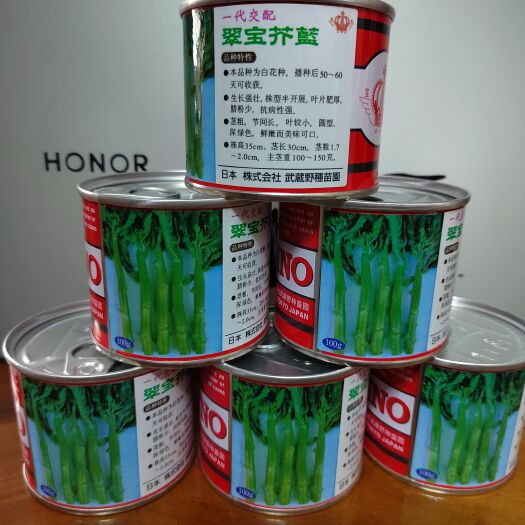 100g日本宝冠翠宝芥蓝种子翠宝芥兰心种子广良引进芥兰种子
