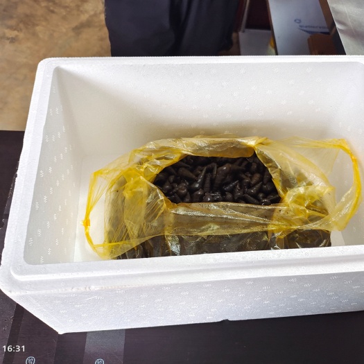 临高县5斤装10斤装这个价格。量大优惠。多多