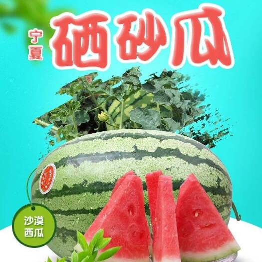 大荔县金城5号西瓜  口感清甜 解渴生津 产地直发