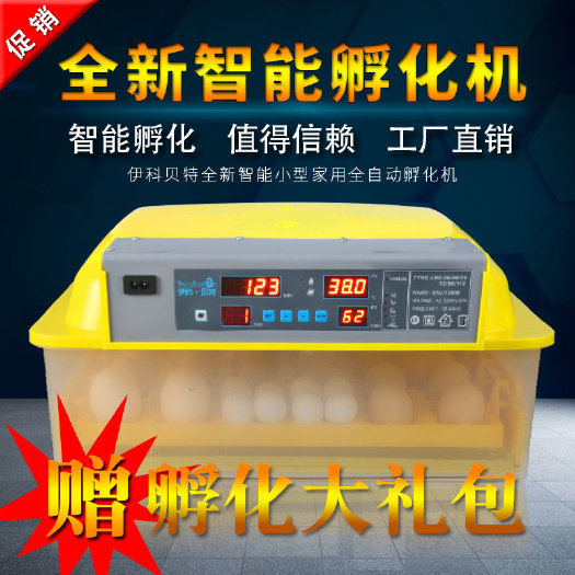 义乌市孵化机鸡鸭鹅小型孵蛋器畜牧饲养设备孵化机